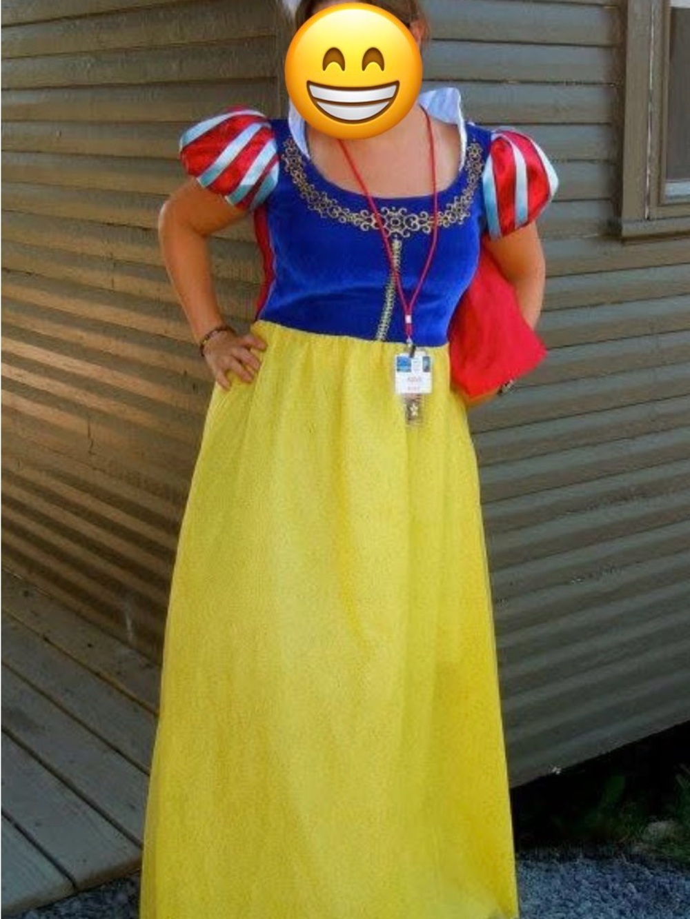 Adult Disney Classic Snow White Yellow, Blue & Red Dress Costume - Picture 11 of 11